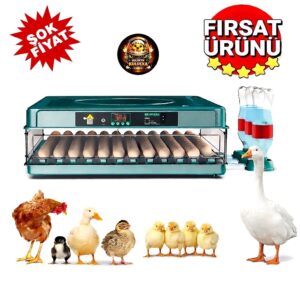 IMG_7388 Kuluçka Makinası 130 Yumurta Kapasiteli
