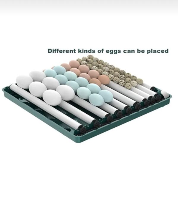 Kuluçka Makinası 130 Yumurta Kapasiteli