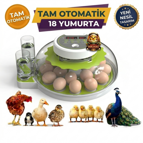 18 Yumurta Kapasiteli Tam Otomatik Kuluçka Makinesi