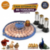 80 Yumurta Kapasiteli Tam Otomatik Kuluçka Makinesi