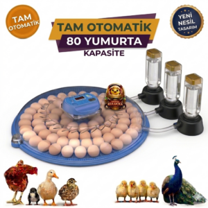 80 Yumurta Kapasiteli Tam Otomatik Kuluçka Makinesi