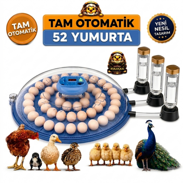 52 Yumurta Kapasiteli Tam Otomatik Kuluçka Makinesi