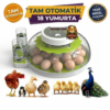 IMG_0209 (WZ-Ea18 INCUBATOR) 18 Yumurta Kapasiteli Tam Otomatik Kuluçka Makinesi