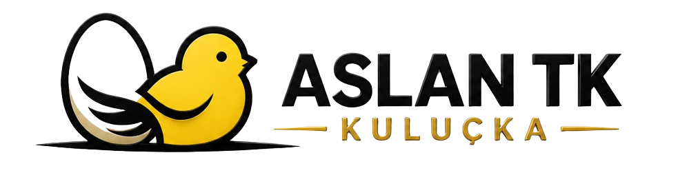 Aslan TK Kuluçka